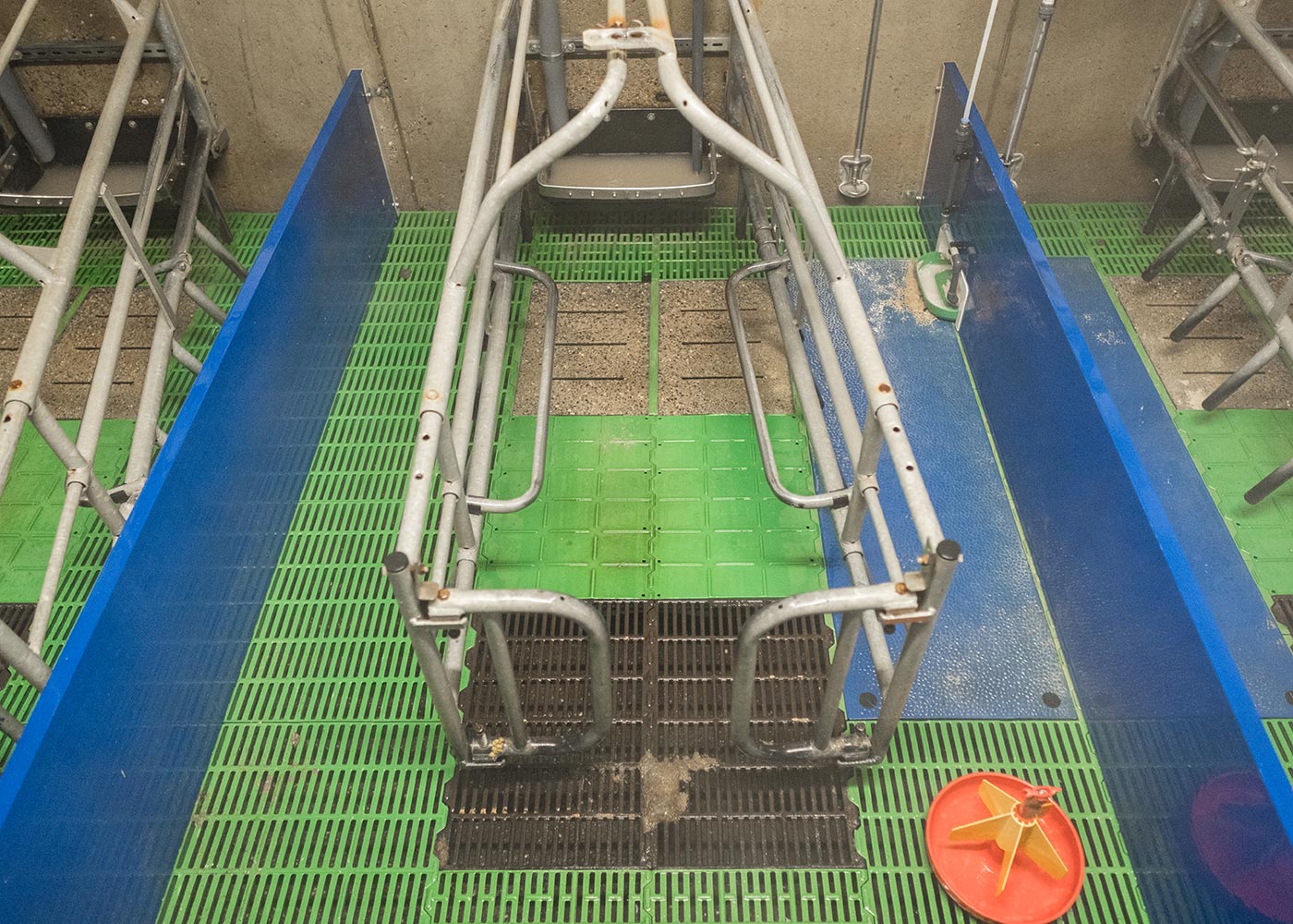 The pen photographed after the wash is finished The pen photographed after the wash is finished